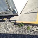 Imagen de WhatsApp 2023-12-28 a las 09.14.11_f90052f5