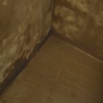 Imagen de WhatsApp 2023-12-28 a las 09.17.37_5645b3ba