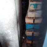 WhatsApp Image 2022-10-27 at 14.06.56 (1)