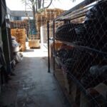 WhatsApp Image 2022-11-03 at 14.38.42 (2)